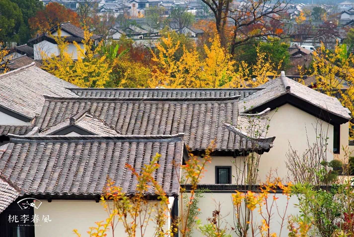 不朽情缘(中国游)最新官网入口